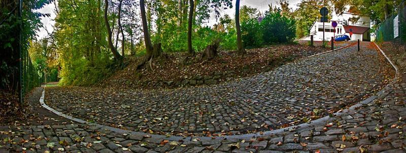 Kasteel B&B Sint-Bartel Geraardsbergen Luaran gambar